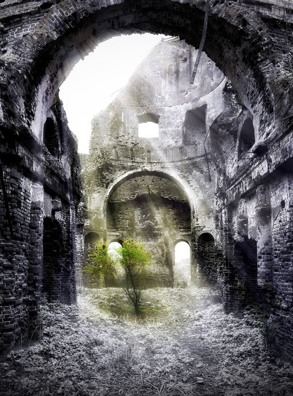 новая жизньphoto preview