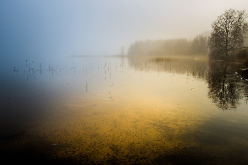 Morning at the lake.photo preview