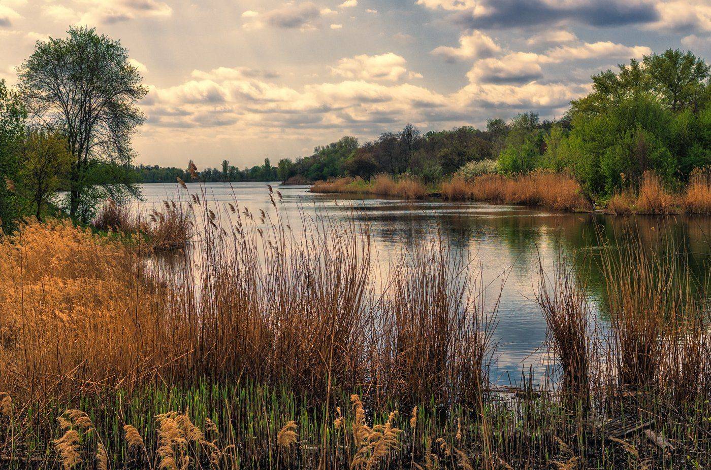 Весенний мотив. Автор: Игорь Мелекесцев , Игорь Мелекесцев