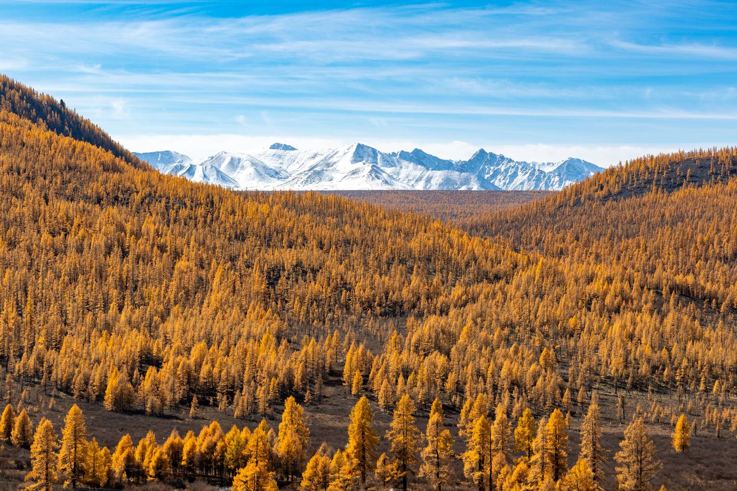 саяны, бурятия, окинмкий район, восточный саян, ока саянская, орлик, ильчир,, Буянов Илья