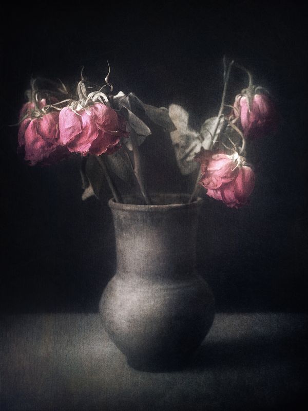 натюрморт, розы Nature Morte.photo preview