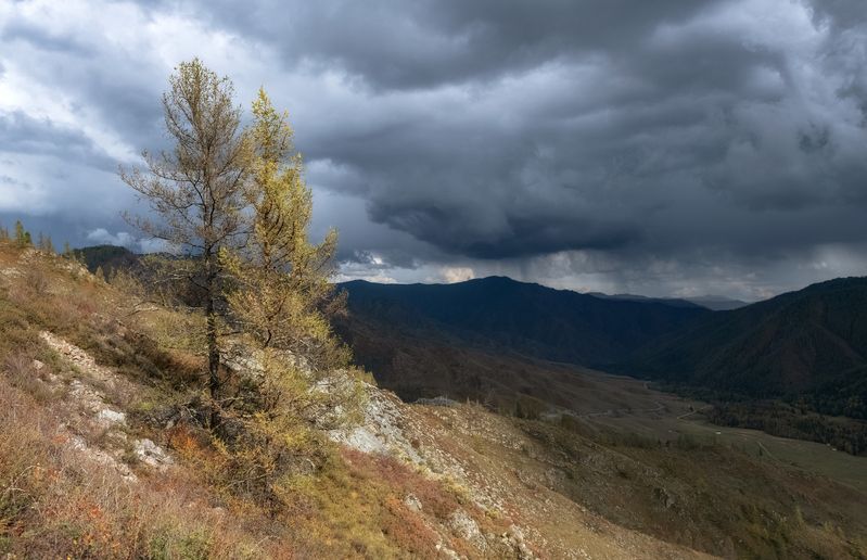 алтай, осень, перевал, чике-таман, тучи Осень на перевалеphoto preview