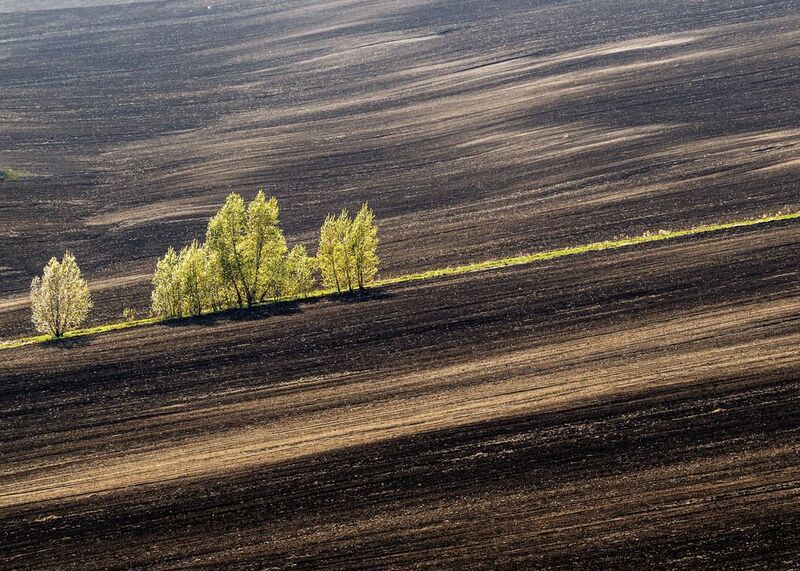 Вспахали полеphoto preview