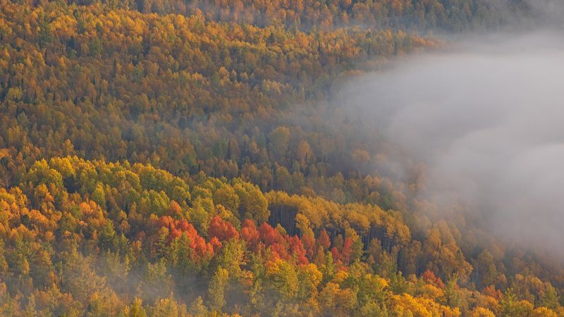 кутурчинское, белогорье, горы, саяны, утро, лес, осень, туман Контратакаphoto preview