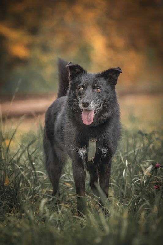 Никаphoto preview