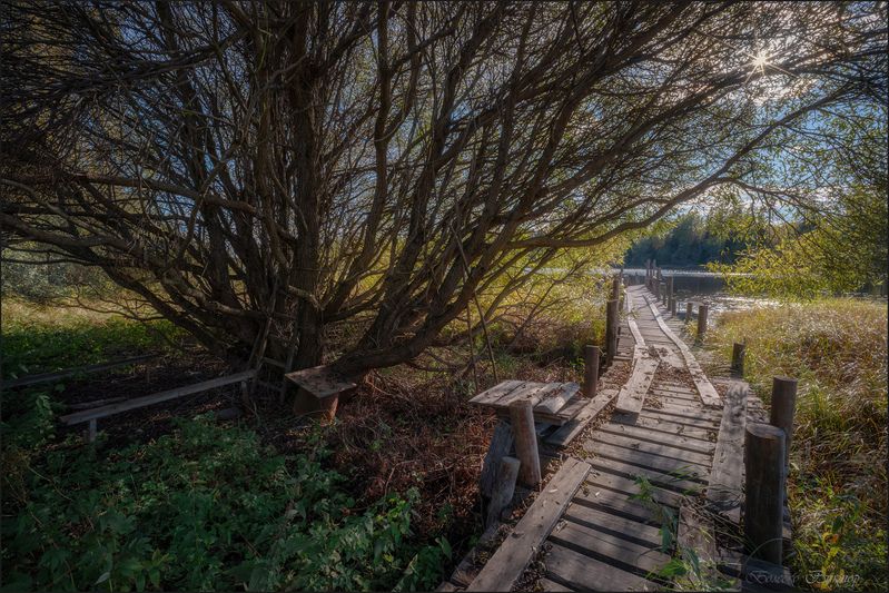 Ещё цепляется лето за ветвиphoto preview