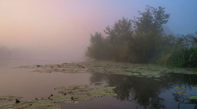 осень утро озеро туман природа пейзаж В начале осени.photo preview