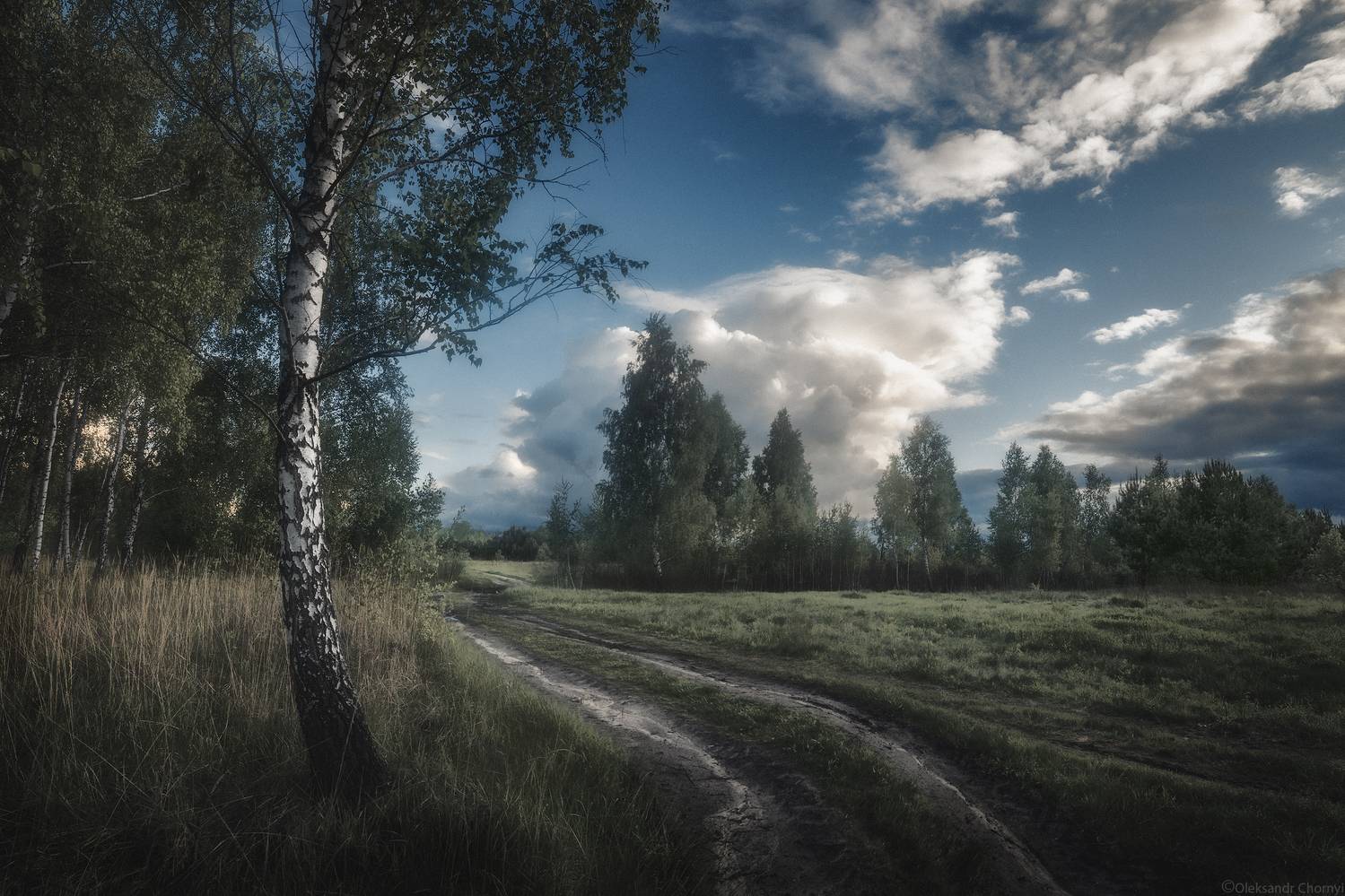 "Вдохнуть чистоту". Автор: Чорный Александр тишина, гармония, березки, природа, зелёныеполя, сельскийпейзаж, сельскаядорога, коростышев, украина, фотографчорный, сашачорный,, Чорный Александр