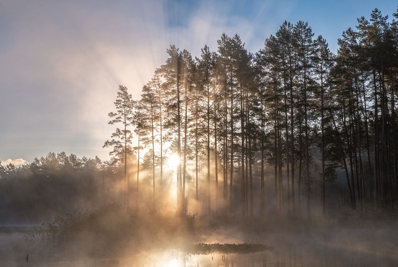 Утро на озереphoto preview