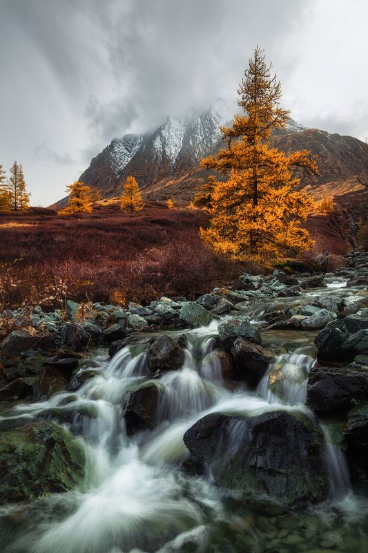 алтай, горный алтай, пейзажи алтая, кош-агачский район, горная река, золотая осень, горы, осенний алтай Журчание алтайской осениphoto preview