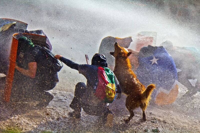 revuelta social, estallido social, 18 de octubre, octubre, estallido social en chile, piñera, rucio capucha,bastián cifuentes araya, periodistafurioso, periodista furioso, bastian cifuentes araya, reportage RUCIO CAPUCHAphoto preview