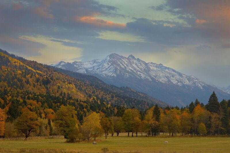 горы осень кавказ карапырь Кардон Карапырьphoto preview