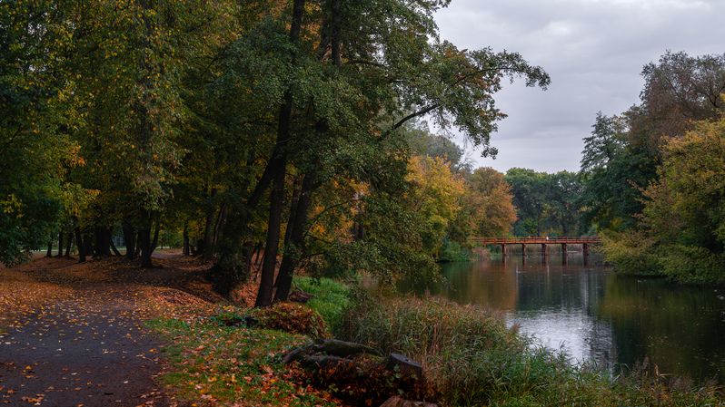 Осеньphoto preview