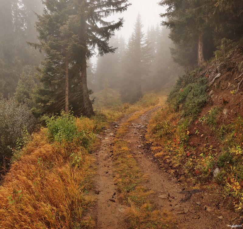 swiss Дороги...photo preview