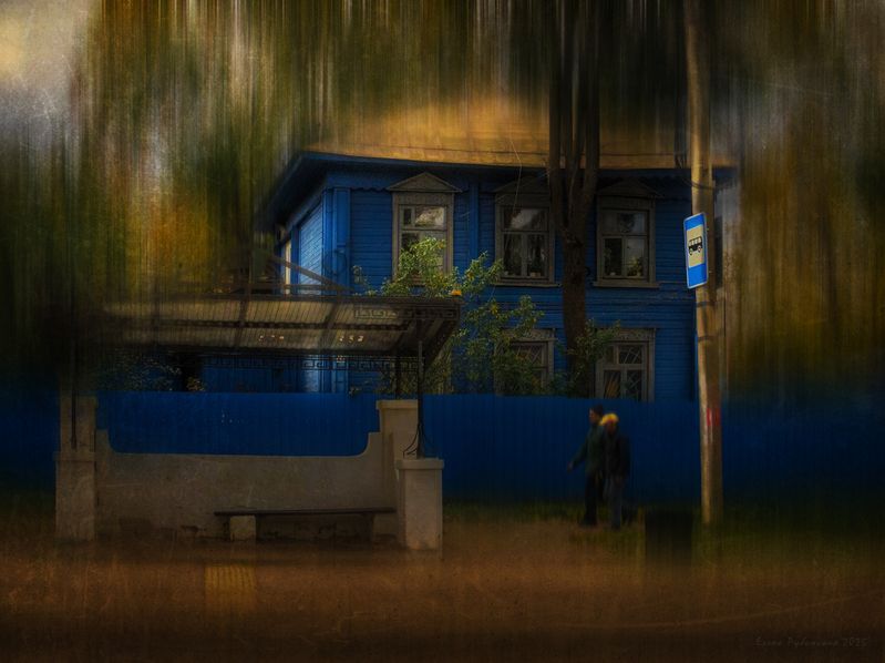 кострома Синий домphoto preview