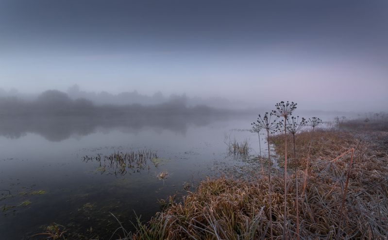 утро осень туман заморозки Октябрь начало фото превью