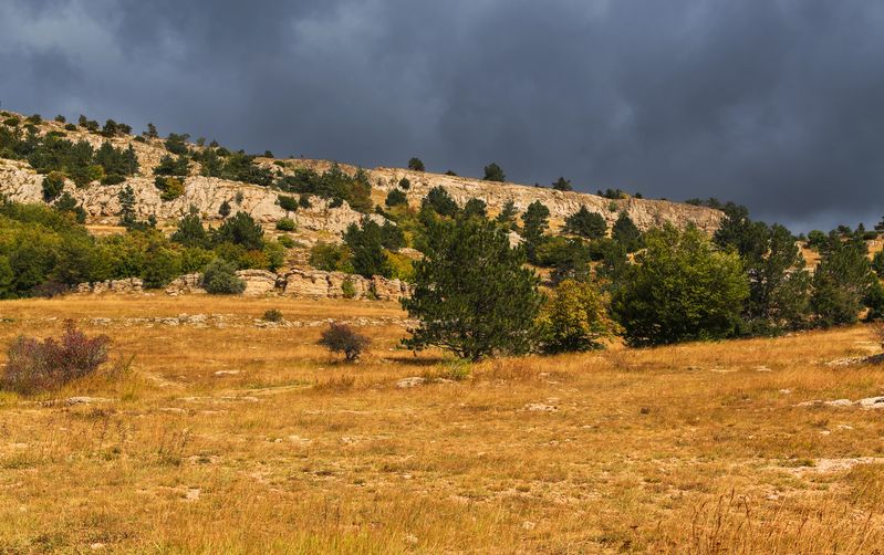 Осень на плато Ай-Петри.photo preview
