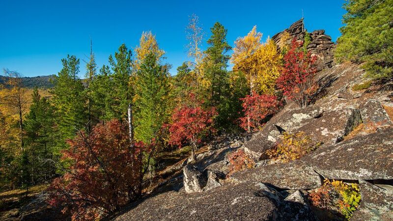 кутурчинское, белогорье, горы, саяны, утро,  скалы, осень, рябина Рябиновая аллеяphoto preview