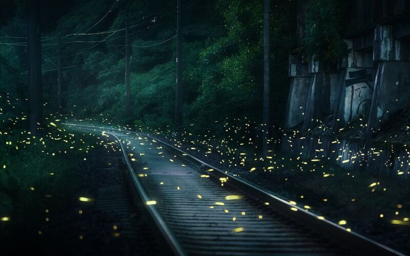 светлячки, светляки, fireflies Светлячки на железной дороге фото превью