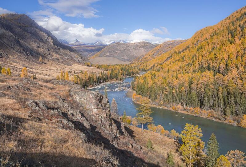 россия, горный алтай, река чуя, осень Чуя среди горphoto preview