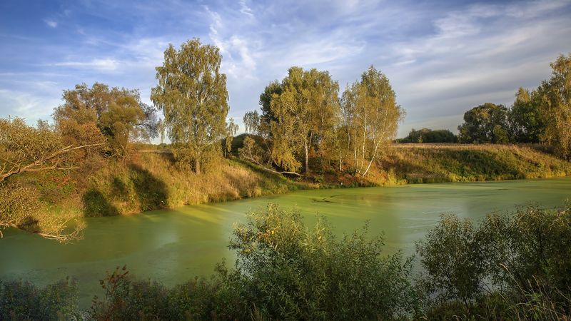 Сентябрьphoto preview