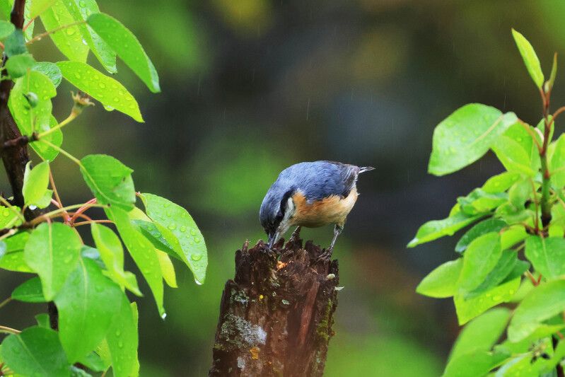 Заначка..photo preview