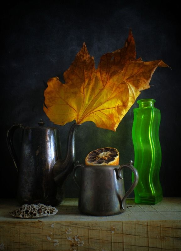 autumn flamesphoto preview