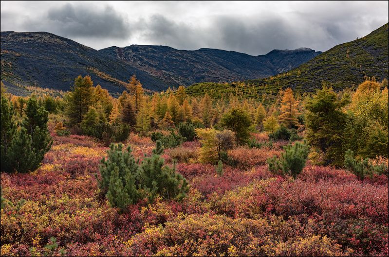 Осень на Джеке продолжениеphoto preview