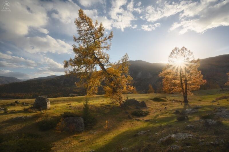 алтай, фототур по алтаю, осень, горы, горный алтай, республика алтай, джазатор, беляши Вечер в Беляшахphoto preview