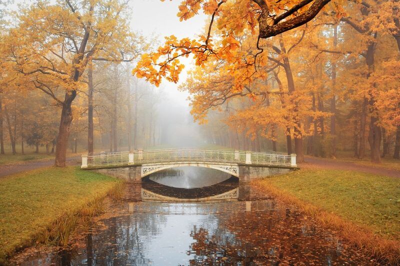 осень в Царском селе...photo preview