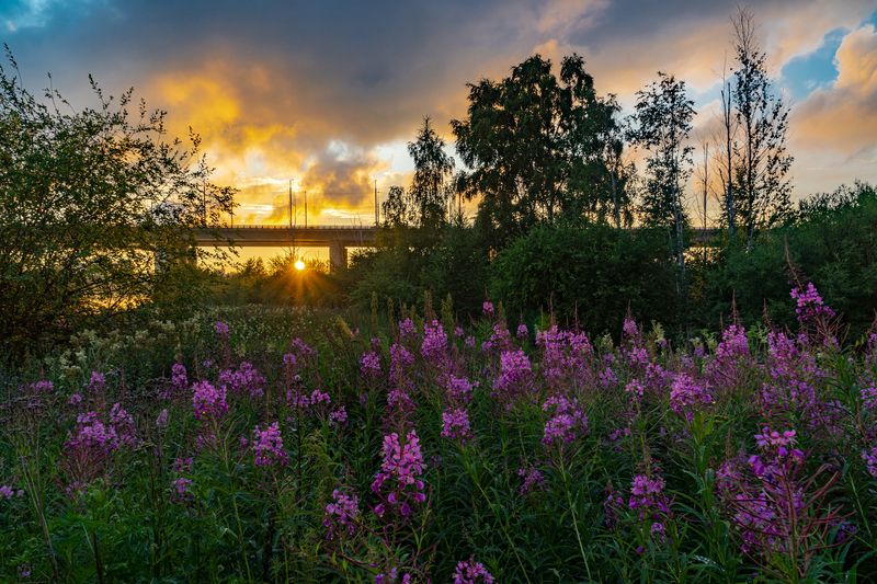 иркутск, закат, иванчай Летний закат у Академического мостаphoto preview