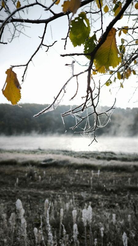 пейзаж. утро. Морозная дымкаphoto preview