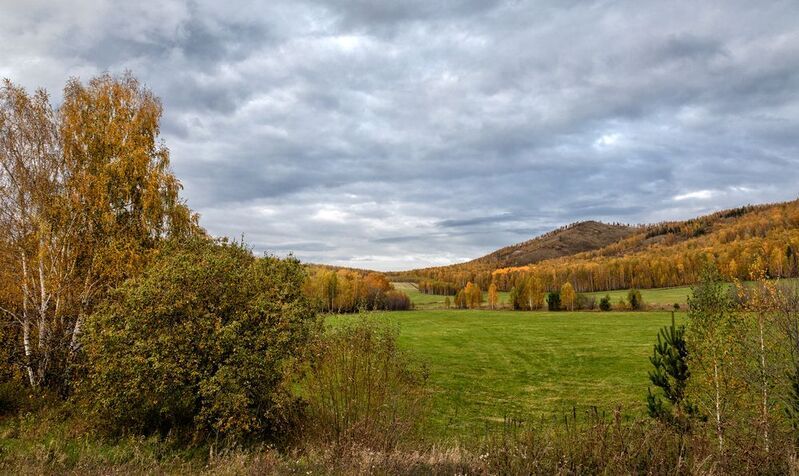 г. Ишумакphoto preview