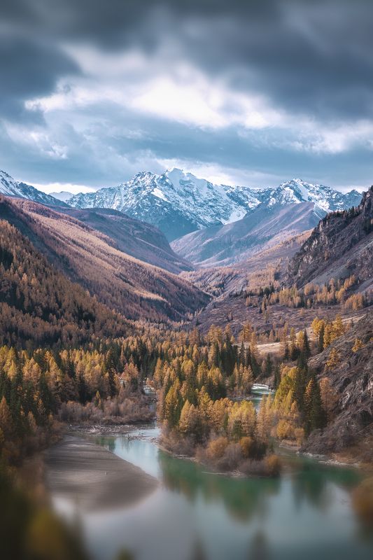 Курай, Алтай, природа, Россия, Горы, nature, mountains, landscape, altai Курайphoto preview