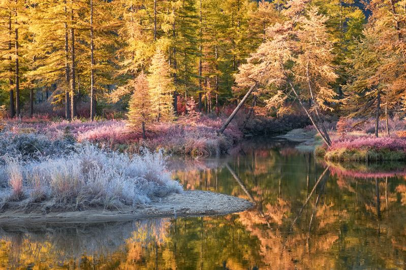 Серебро и золото...photo preview
