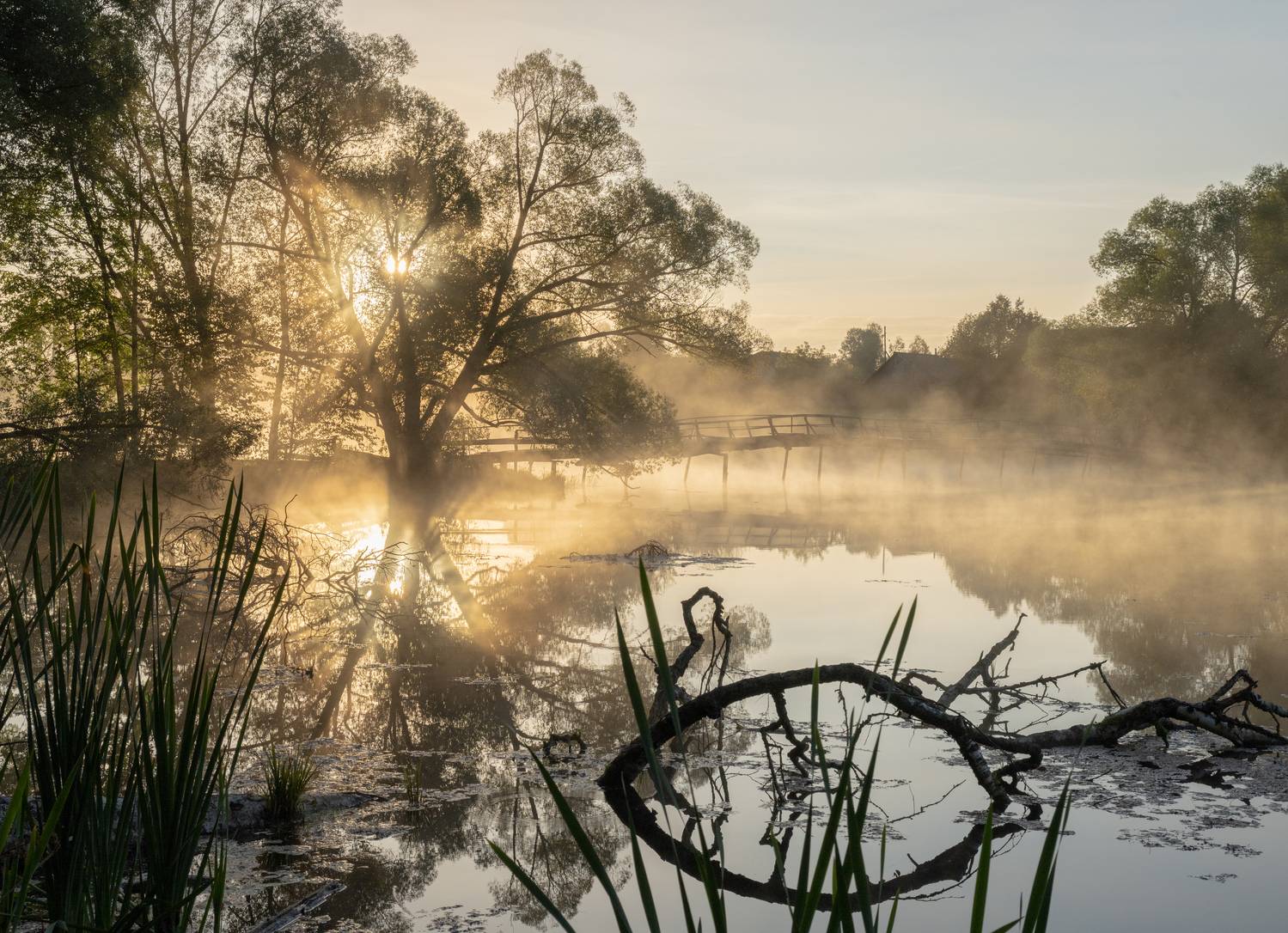 , Карепанов Евгений