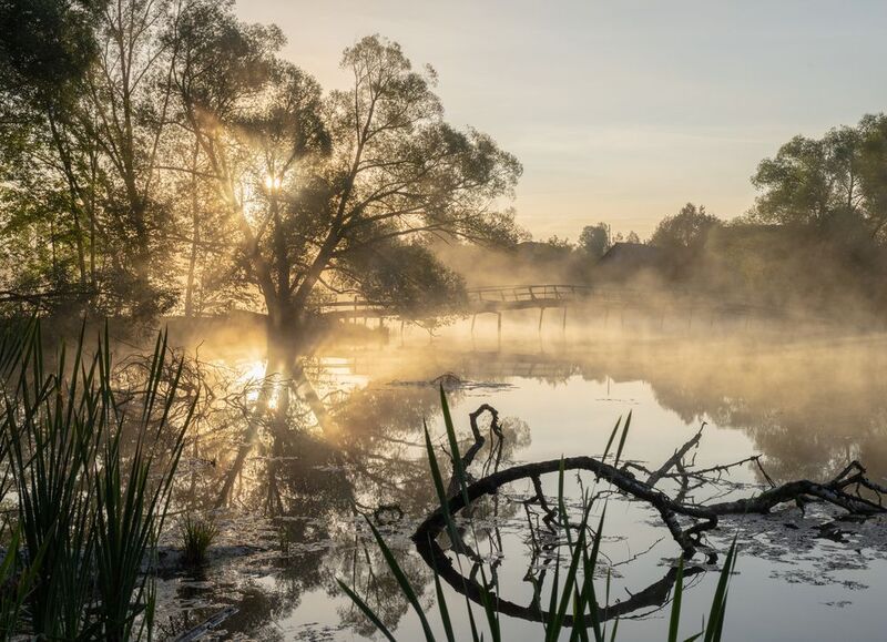 Яркое осеннее утро в поселке Окуневоphoto preview
