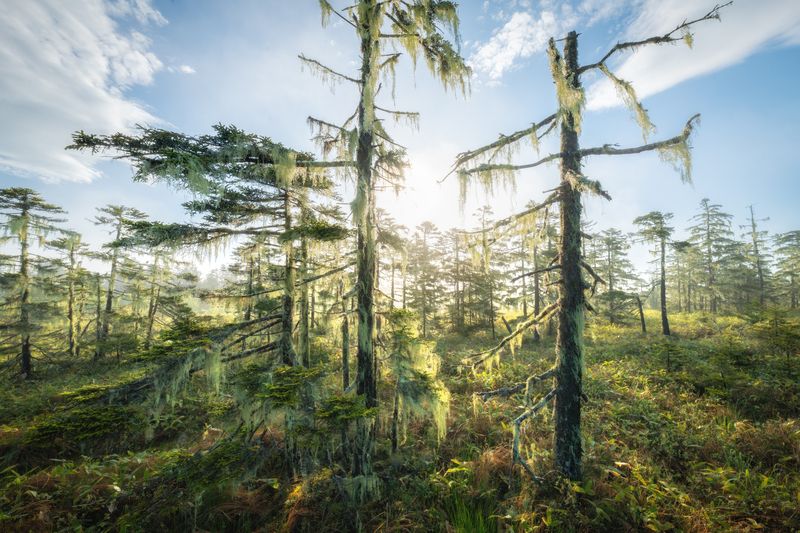 курилы \\photo preview