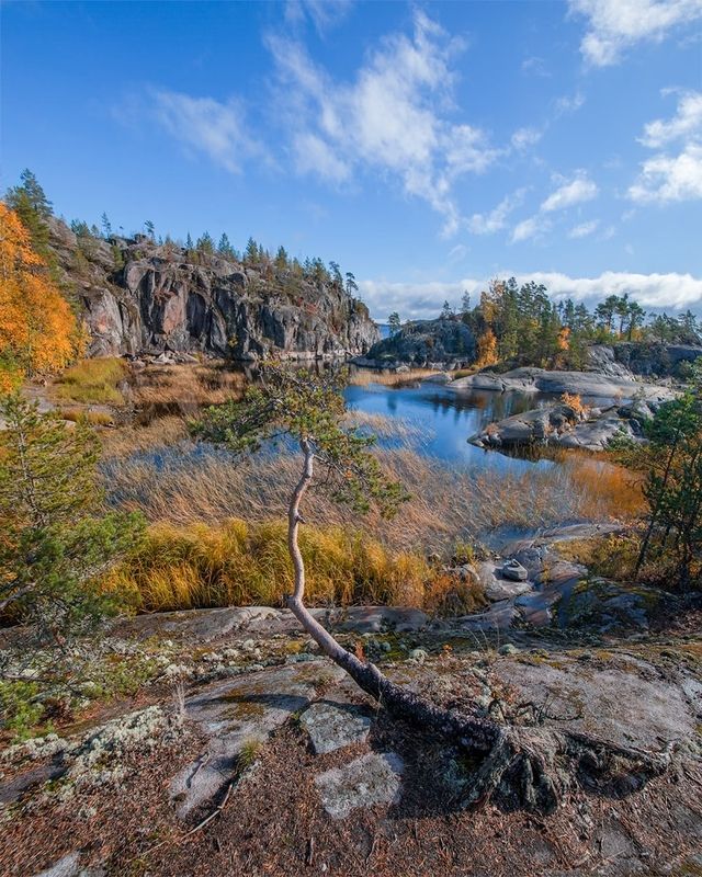 Осень на острове Хонкосалоphoto preview