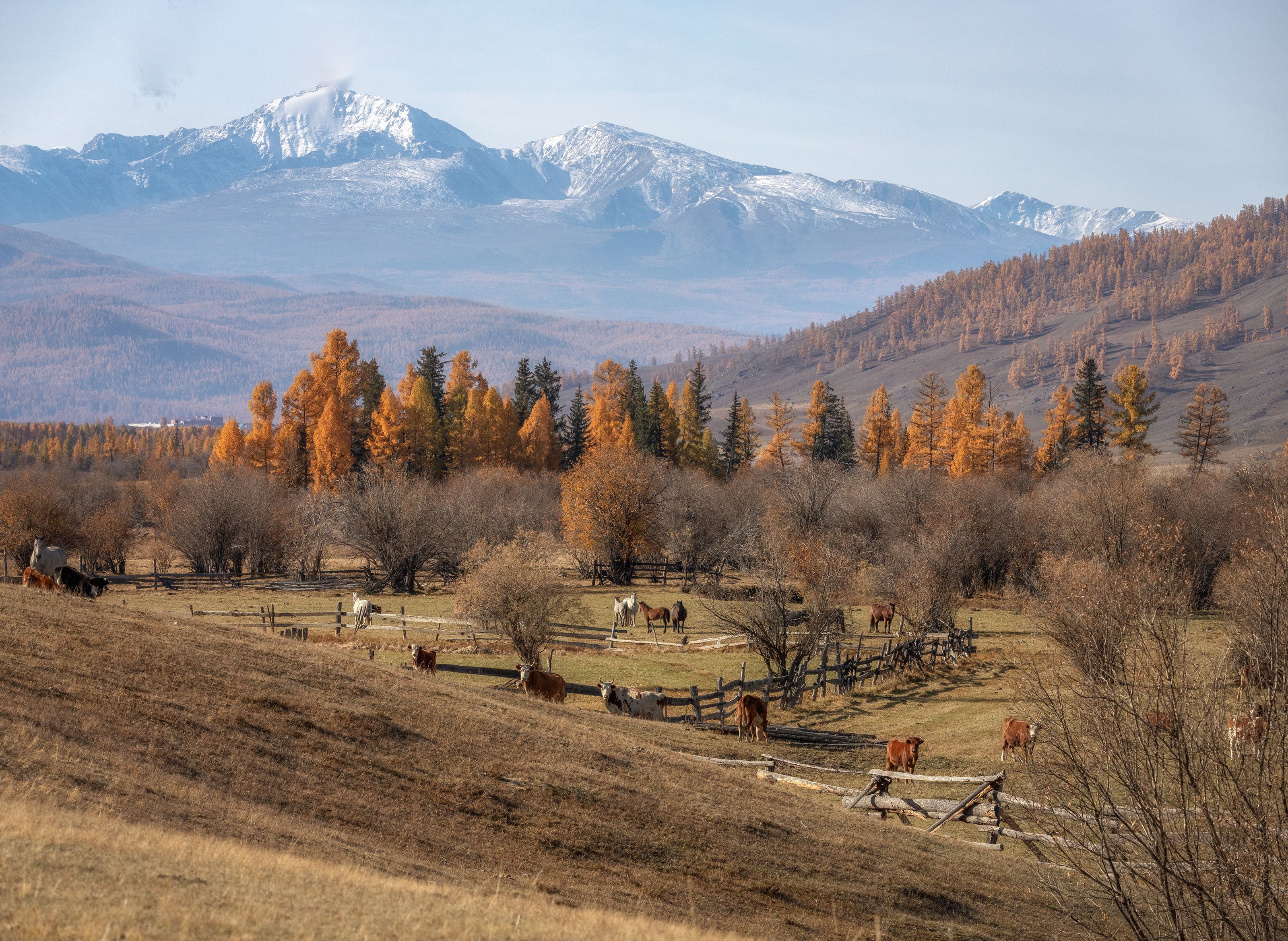 Алтай Алтайphoto preview