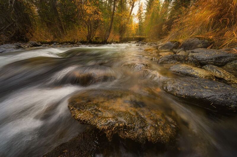 Речка Тюньphoto preview