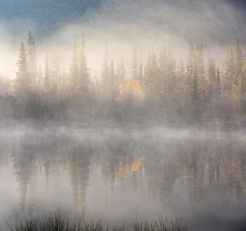 хибины, кольскй полуосттров, туманное утро в Хибинах фото превью