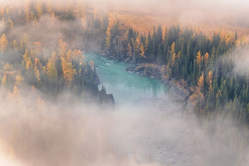 горный алтай Туманное утро на рекеphoto preview