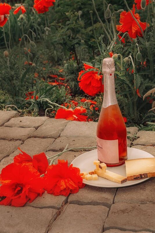 маки сыр шампанское лето Маки  фото превью