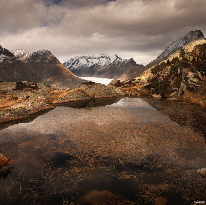 swiss ***photo preview