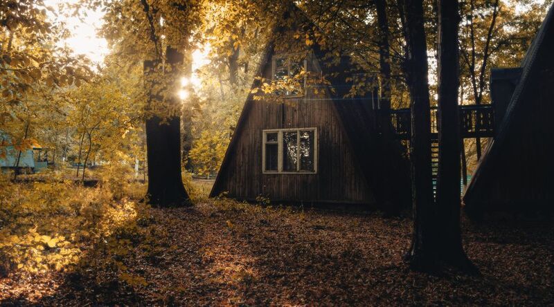 осень, лес, домик, деревянный дом, солнечные лучи, природа, пейзаж, деревья, золотая осень, закат, атмосфера, тишина, спокойствие, уединение, деревня, романтика, свет в лесу, винтаж, настроение, кинематографично Осенний домик в лесуphoto preview