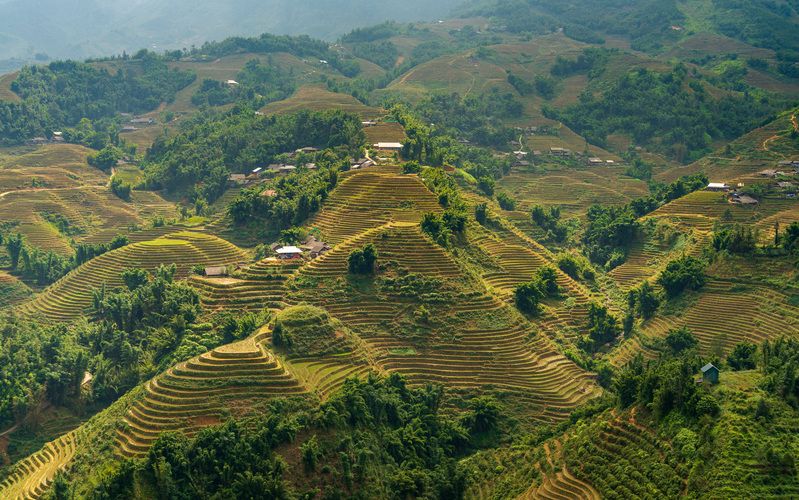 вьетнам, сапа, рисовые террасы Са Паphoto preview