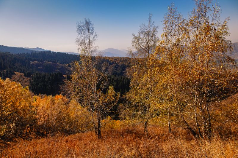 кыргызстан, чон-кемин Золото Калмак-Ашууphoto preview