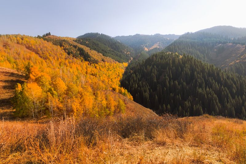 кыргызстан, чон-кемин Золото сентябряphoto preview