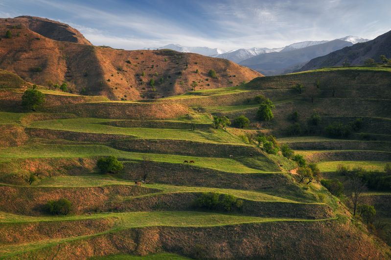 mountains, nature, landscape, rural, grass, outdoors, green, meadow, travel, spring, caucasus, terraces, пейзаж, горы, дагестан, террасы, весна, природа Бархатные террасыphoto preview